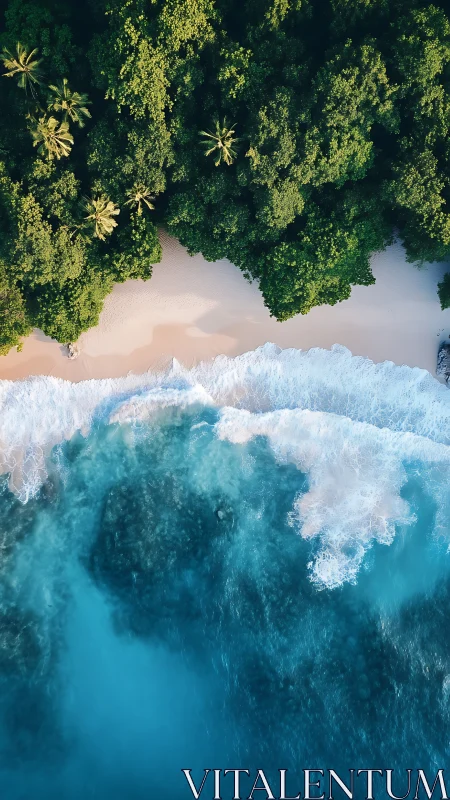 Aerial View of Tropical Coastline with Waves.