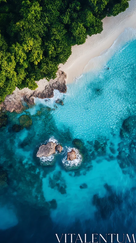 Coastal Paradise: Where Emerald Jungle Kisses Turquoise Waves.