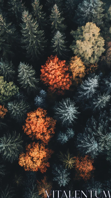 Aerial spectral mapping of mixed conifer&ndash;deciduous forest canopies.