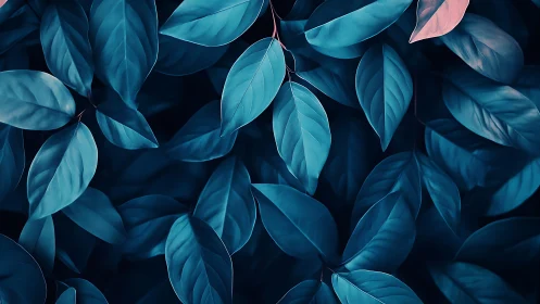 Calm teal leaves glowing softly in peaceful evening light.