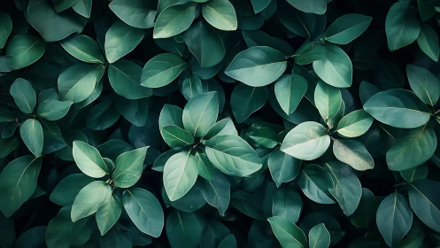 Gentle green leaves creating a calm, cozy natural hideaway.
