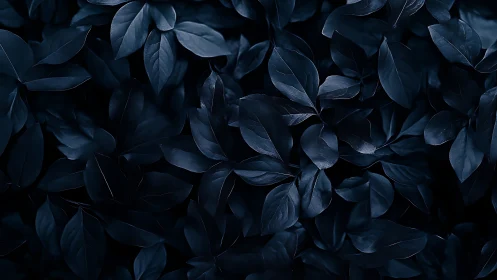Low-key close-up foliage with high-contrast blue tonality and gloss