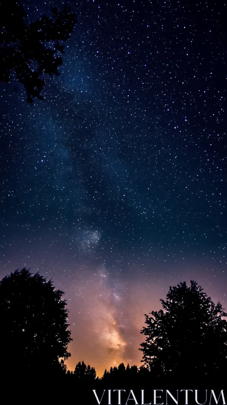 Milky Way core over silhouetted treeline at twilight horizon.