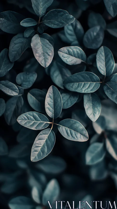 Soft dusk leaves floating in quiet midnight hues.