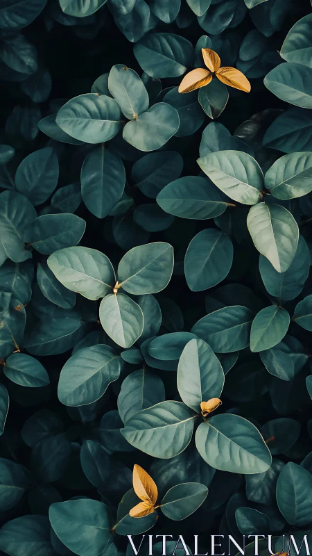 Golden leaves glow gently against deep green foliage carpet