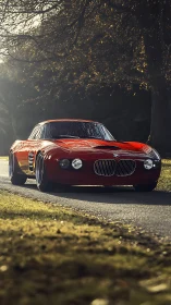 Red BMW sports car on narrow forest lane at dusk.
