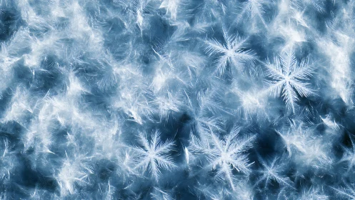 Macro photograph shows crystalline snowflake structures on ice