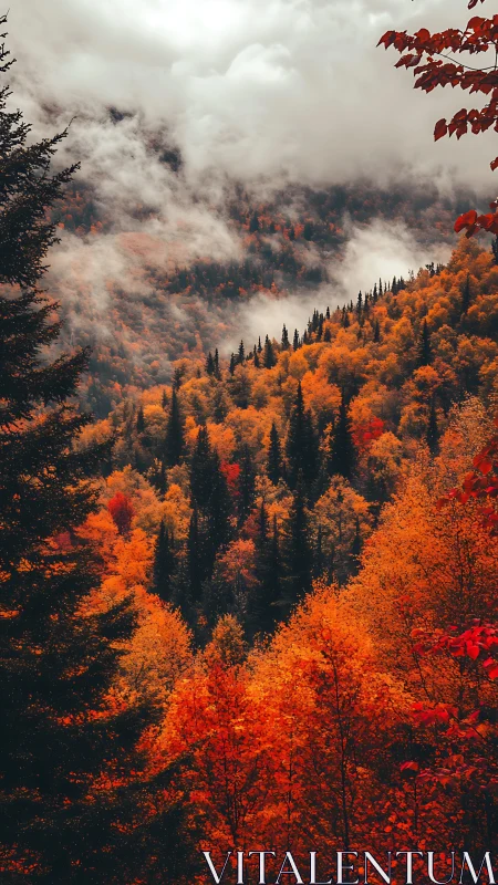 Misty Mountain Valley in Autumn Glory.