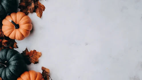 Photographic autumn flatlay with pumpkins and negative space.