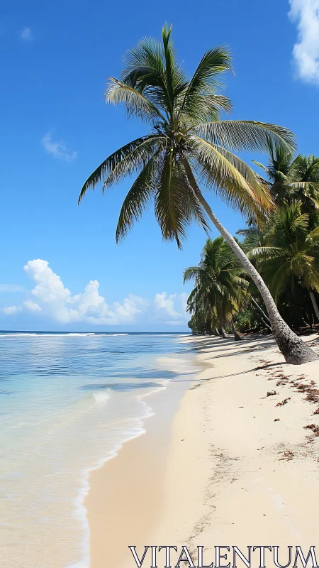 Tropicana Reverie: Palm Leaning Into Paradise.