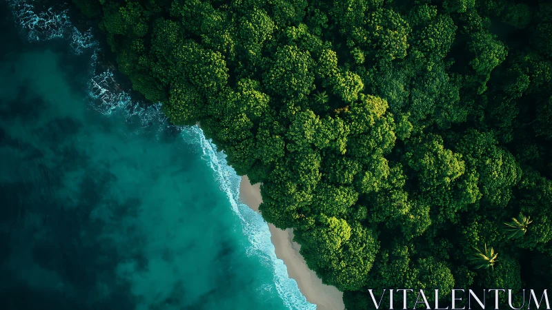 Tropical Coastline Composition: Rainforest Convergence with Turquoise Littoral Zone.