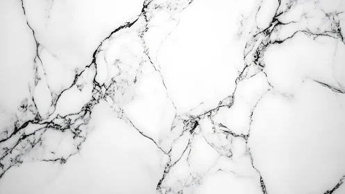 High-resolution white marble slab with dark linear veining