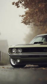Classic green muscle car front on wet rural road in fog.