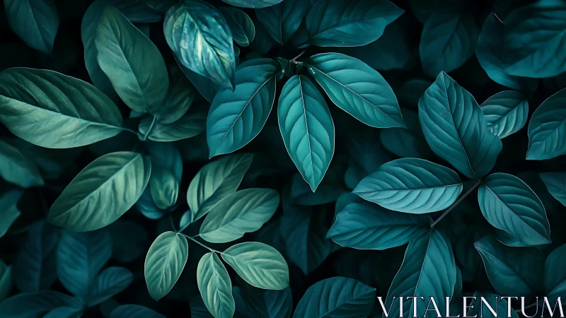 Overhead view of dense teal-toned foliage arrangement.