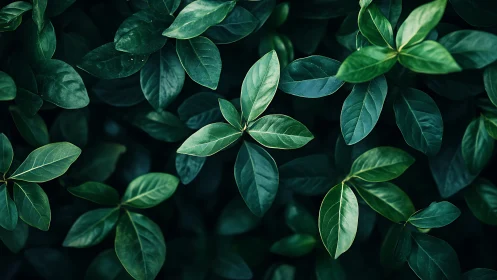 Quiet green leaves gather softly in a calm forest hush