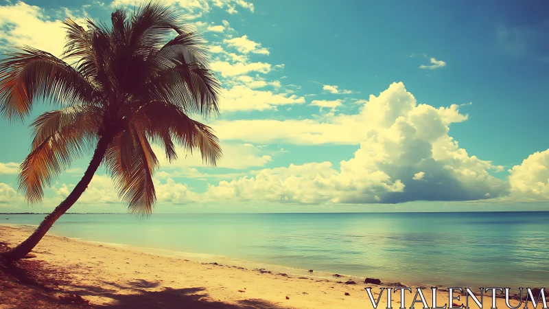 Tropical Beach with Palm Tree and Ocean Vista.