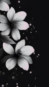 Ethereal Blooms: Grayscale Florals with Soft Pink Accents.