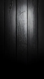 Vertically lit black wooden panels reveal subtle wet texture