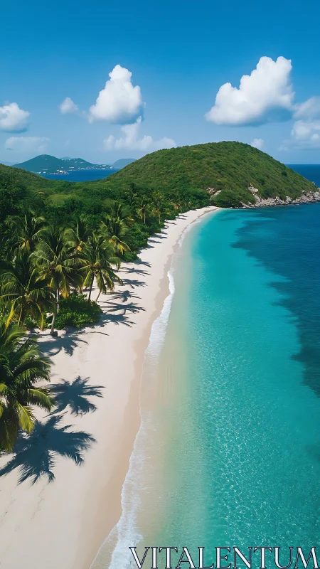 Tropical Paradise Beach with Turquoise Waters and Palm Fronds.