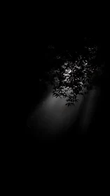 Moonlit leaves emerge quietly from a deep forest void