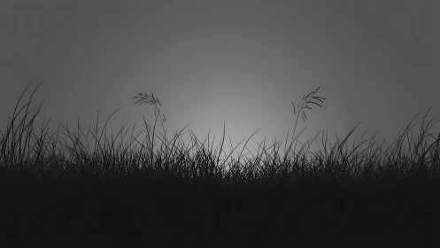 Backlit grass silhouettes form a minimal atmospheric horizon study