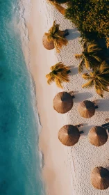 Aerial Coastal Composition: Palm Trees and Conical Umbrellas on Pristine Beach.