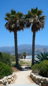 Twin palm trees frame a coastal pathway under clear skies
