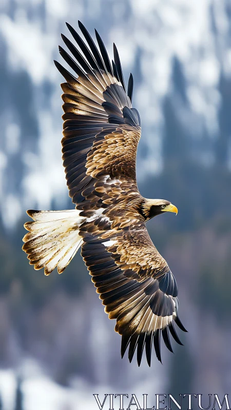 Raptor glides with extended wings above defocused terrain