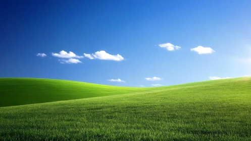 Rolling green hills hum quietly beneath a polished blue sky
