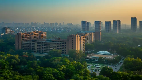 Sunlit urban campus rises above dense green city forest.