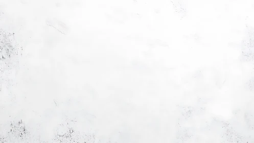 Whispered textures drift across a snowy white canvas field.