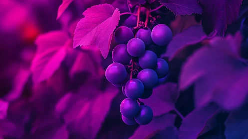 Dreamy neon grapes glowing in a midnight garden.