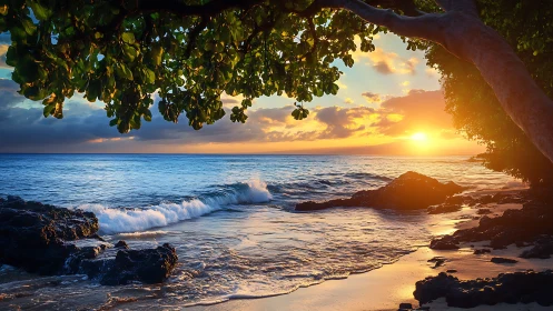 Sunlit ocean horizon frames beneath dense coastal tree canopy