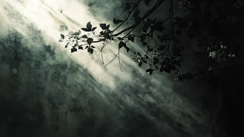 Moody branch silhouette with sunlight on textured wall background.