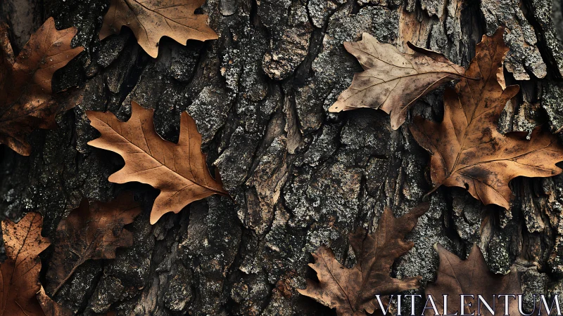 Autumn oak leaves rest on rugged bark in high-contrast detail
