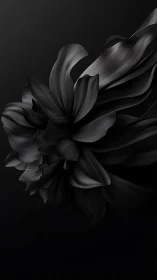 Monochromatic Floral Study: Layered Petals in Dramatic Chiaroscuro