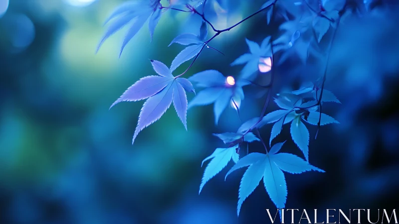Moonlit blue maple leaves glowing in a dreamy evening hush.