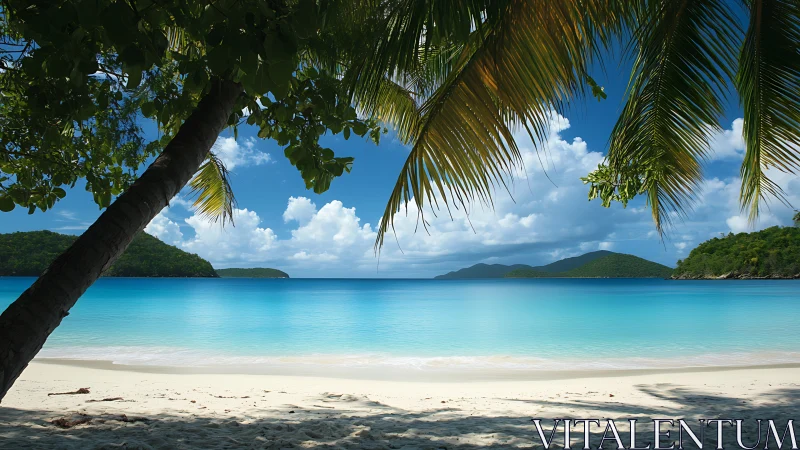 Turquoise Paradise: Where Palm Shadows Dance on Azure Dreams.