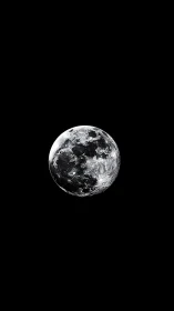 High-contrast lunar surface study against deep black void