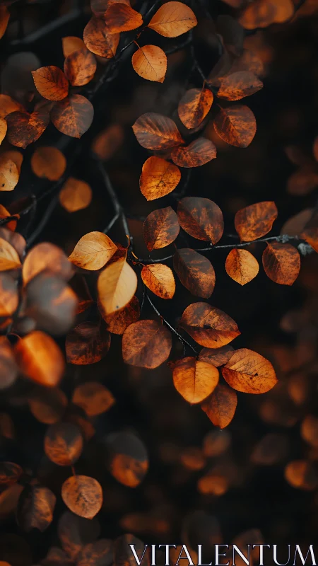 Autumn leaves cluster fills vertical frame with dark background