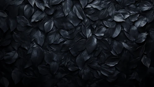Monochrome dark leaf cluster with overlapping texture.