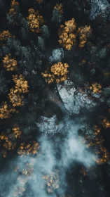 Aerial Forest Landscape with Golden Autumn Trees and Misty Valley.