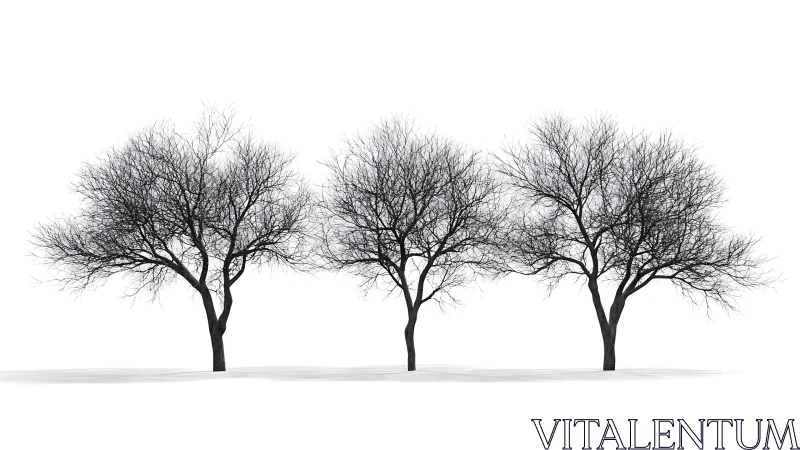 Winter deciduous trees aligned on white minimalist ground.