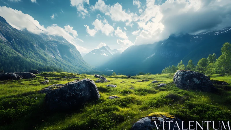 Sunlit valley meadow quietly negotiates with towering peaks