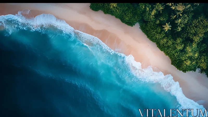 Tropical Coastline Aerial View with Turquoise Waves