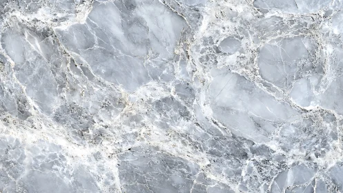 Icy grey marble slab with intricate crystalline veining.