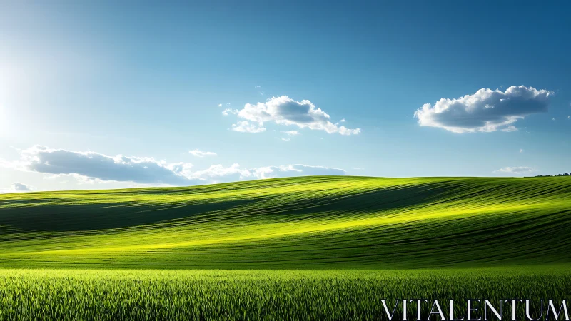 Sunlit waves of wheat quietly roll beneath a painted sky