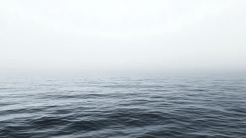 Minimalist seascape with low-contrast horizon in dense mist.