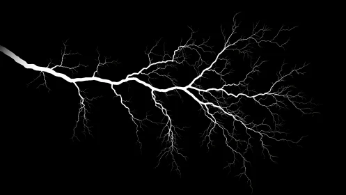 High contrast white lightning bolt branches across black