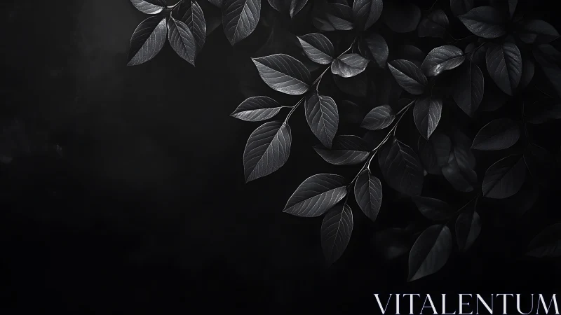 Low key monochrome foliage with directional rim lighting study